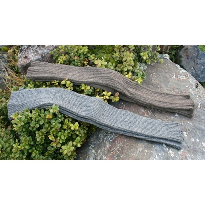 Hovedbilde LEGGVARMERE/Svensk modell